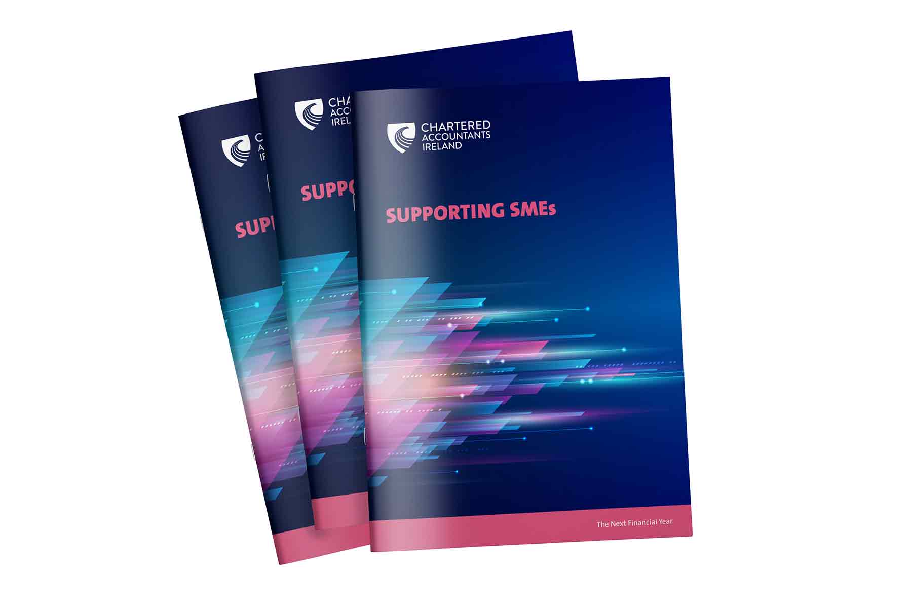 Front cover of the Next Financial Year: Supporting SMEs