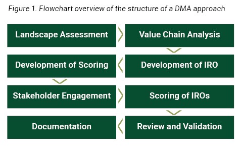 double-materiality-figure-1