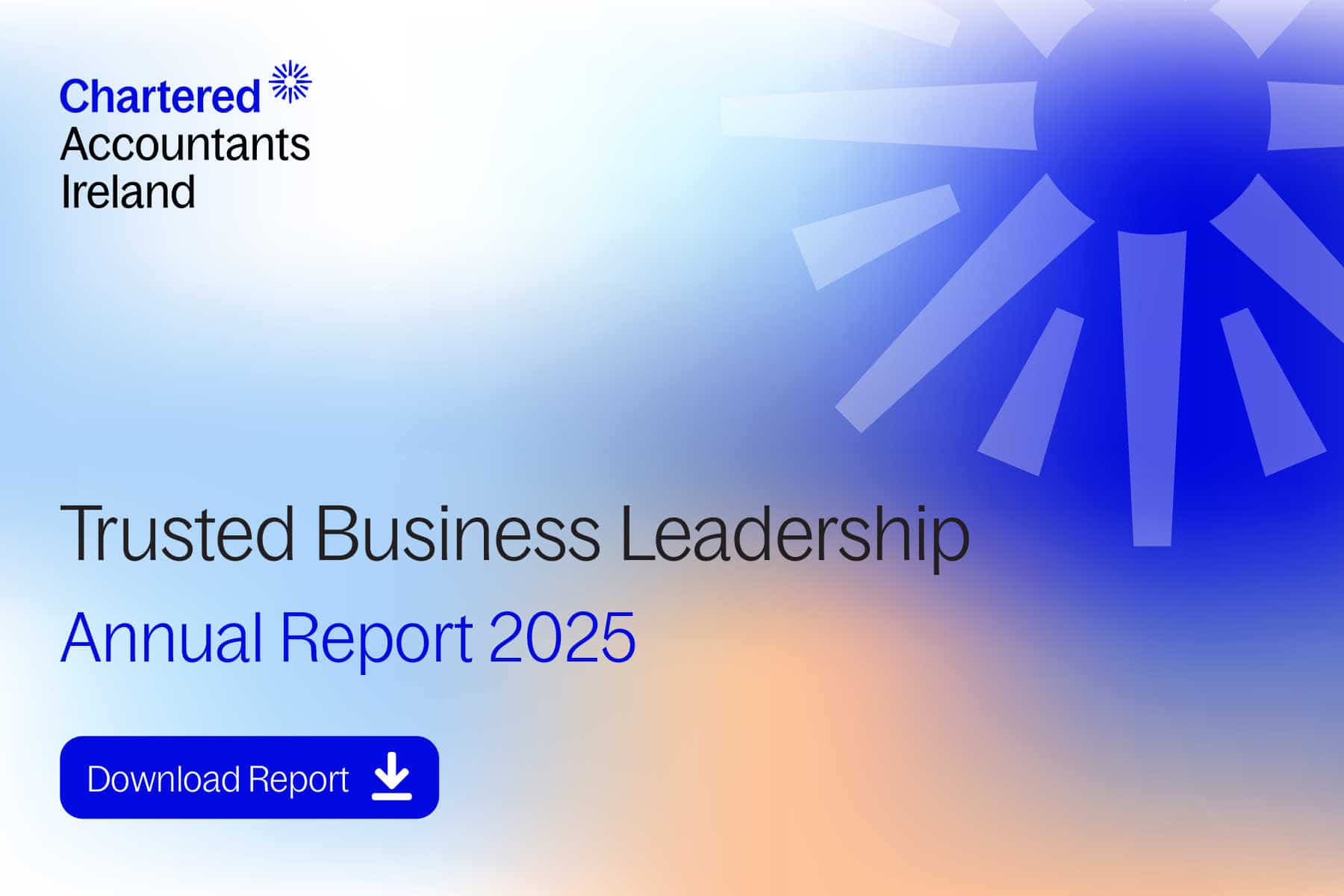 Annual report 2025 1800x600