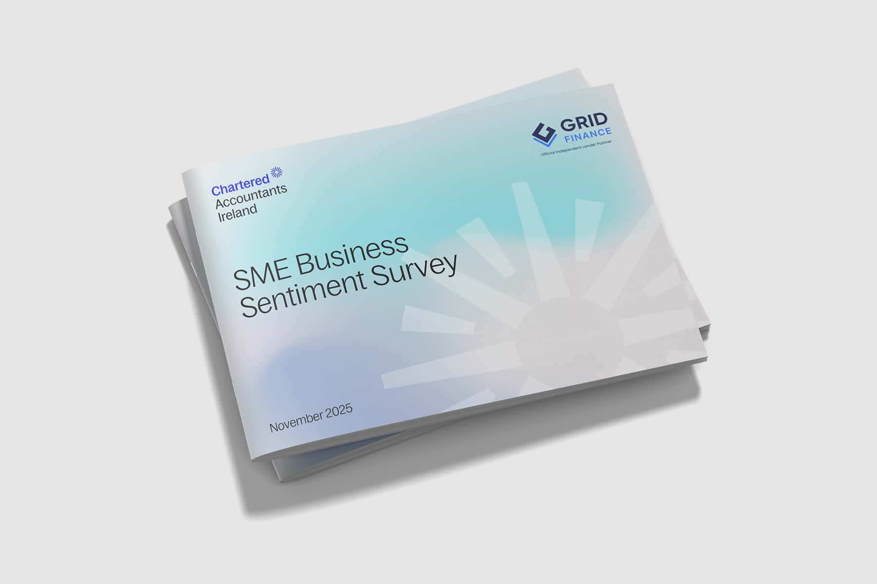 Business Sentiment Survey November 25 (1)