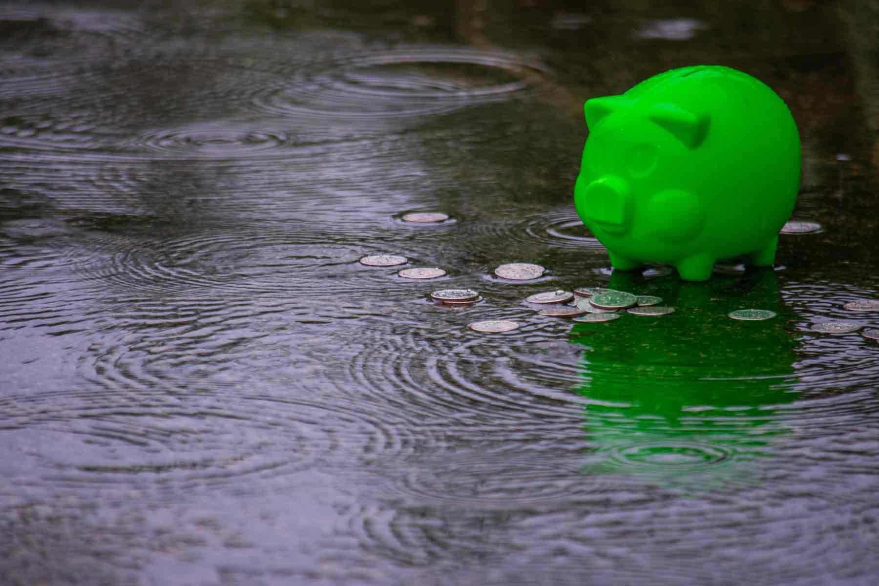 CTA - CA SUPPORT Savings 06-min