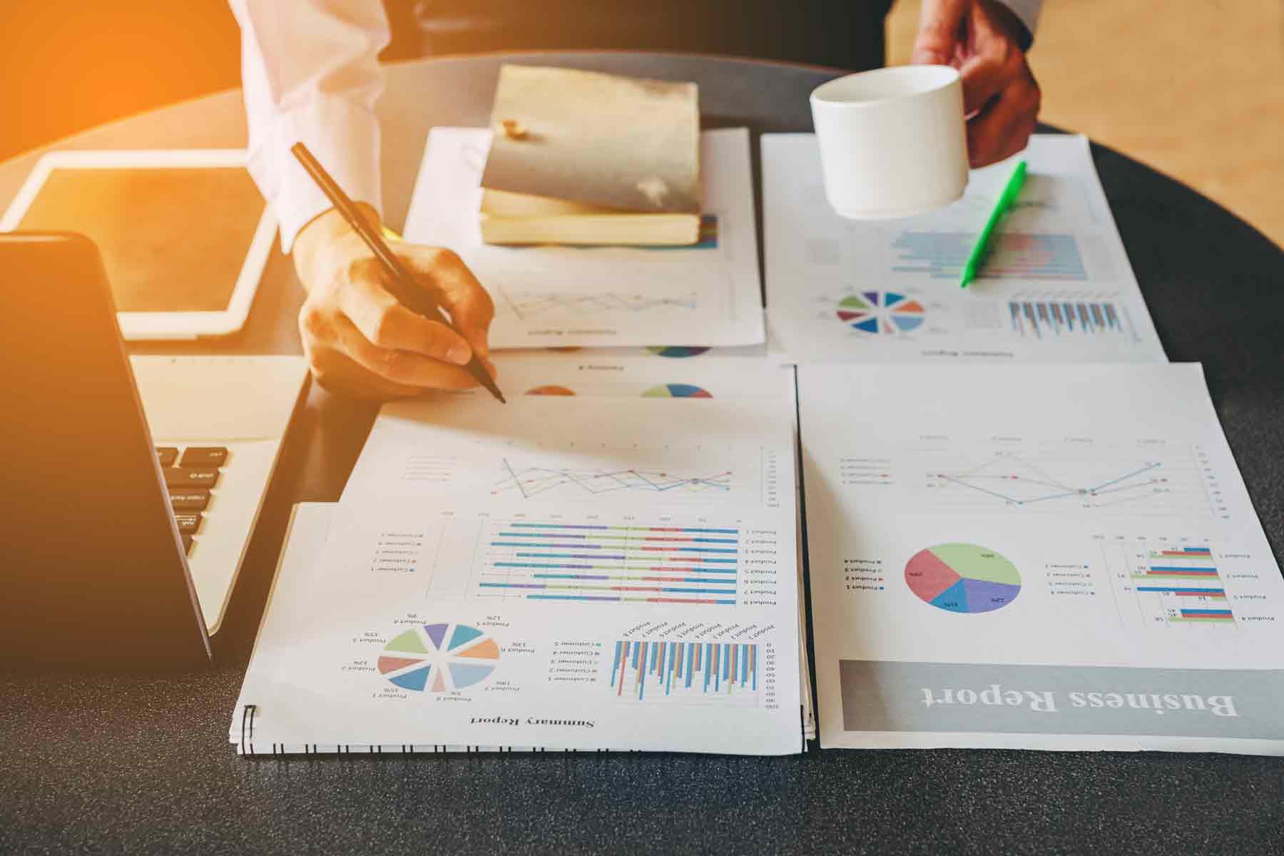 What do Chartered Accountants do